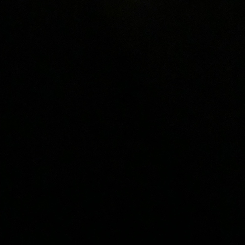 Meet your Posher, Sunny